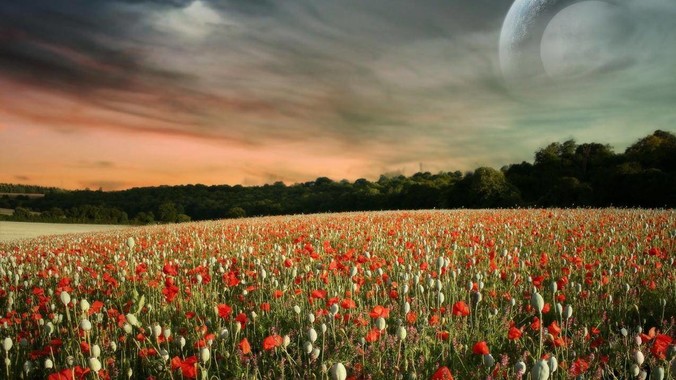 前端如何设计网页？